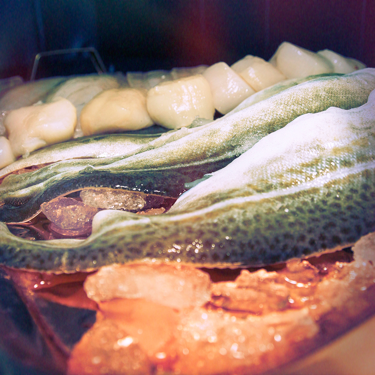 Browns at the Quay, Worcester